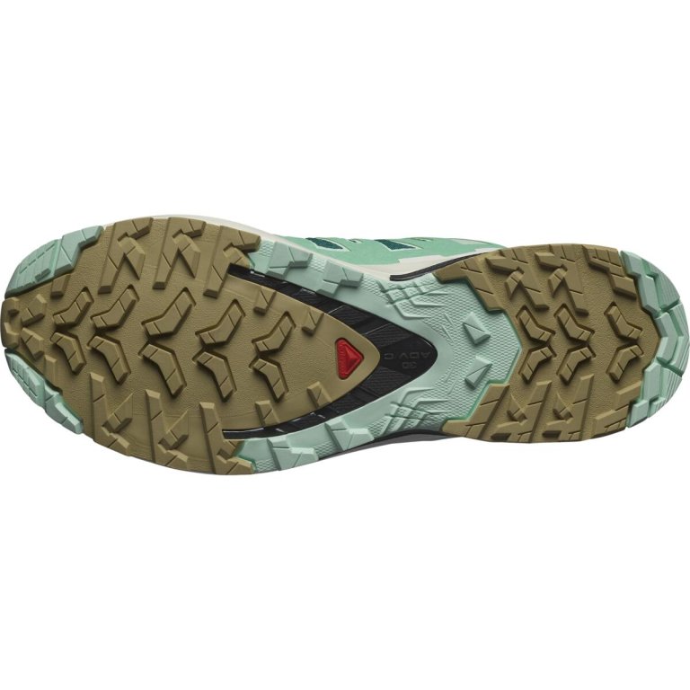 Взуття Salomon XA PRO 3D V9 GTX W - синій