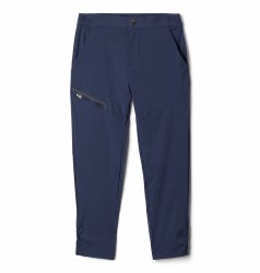 Штани Columbia Tech Trek Pant - синій