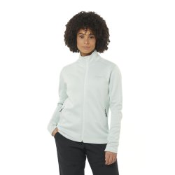 Худі Salomon Essential Midfleece FZ W - синій