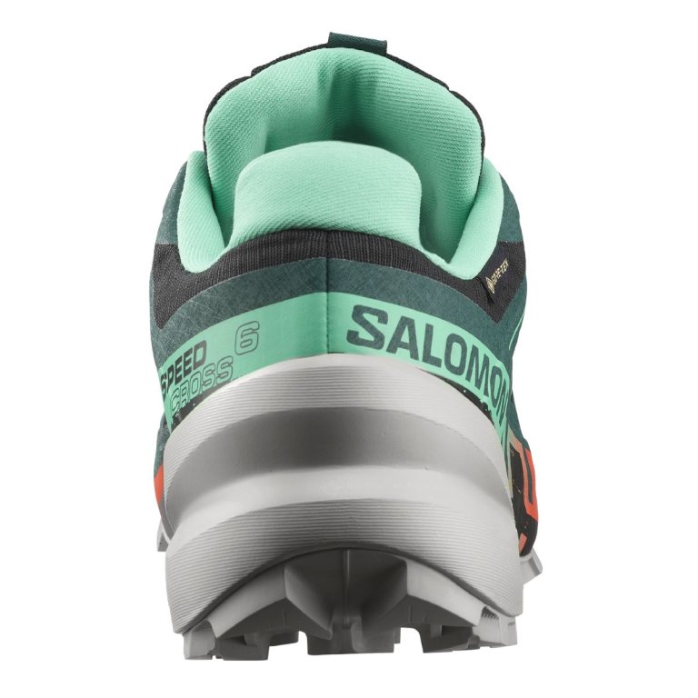 Кросівки Salomon Speedcross 6 GTX W - чорний / зелений / червоний