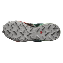 Кросівки Salomon Speedcross 6 GTX W - чорний / зелений / червоний