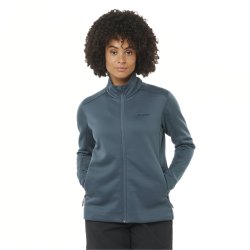 Худі Salomon Essential Midfleece FZ W - синій