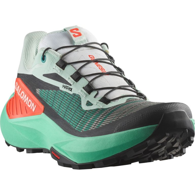 Кросівки Salomon Genesis W - зелений / чорний / сірий