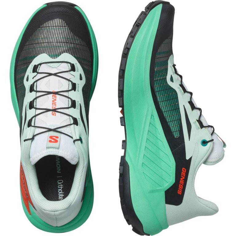 Кросівки Salomon Genesis W - зелений / чорний / сірий