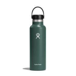 Термос Hydro Flask 21 унція (621 мл) Standard Mouth Flex Cap - зелений