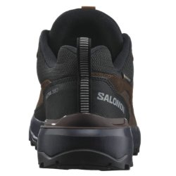 Взуття Salomon X Ultra 360 Ltr GTX M - коричневий