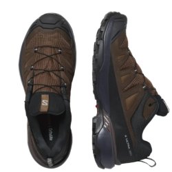 Взуття Salomon X Ultra 360 Ltr GTX M - коричневий