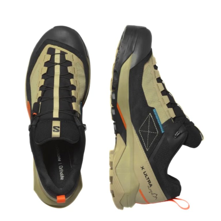 Взуття Salomon X Ultra Alpine GTX M - коричневий/чорний/помаранчевий
