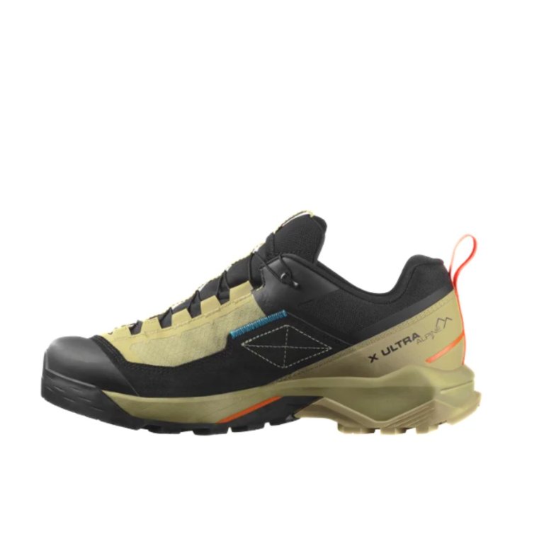 Взуття Salomon X Ultra Alpine GTX M - коричневий/чорний/помаранчевий