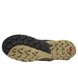 Взуття Salomon X Ultra Alpine GTX M - коричневий/чорний/помаранчевий