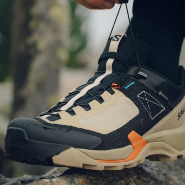 Взуття Salomon X Ultra Alpine GTX M - коричневий/чорний/помаранчевий