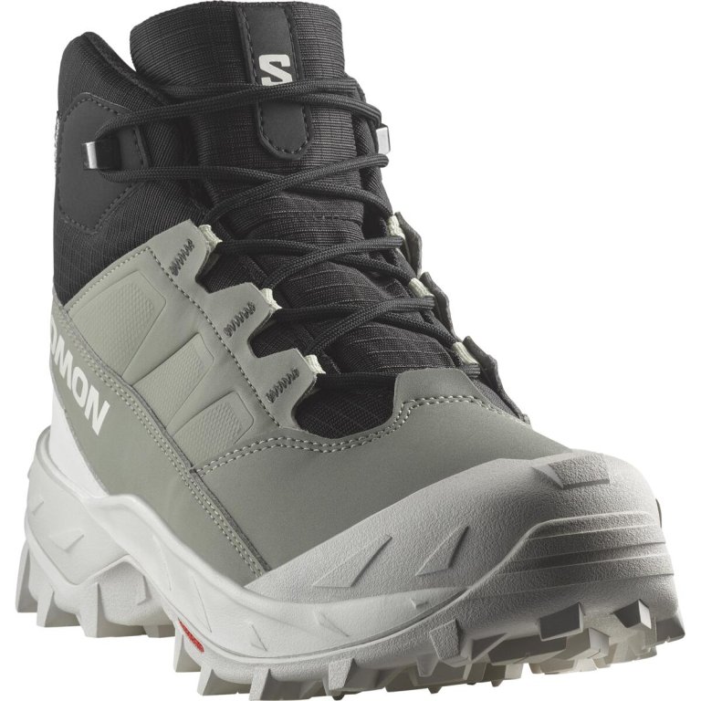 Взуття Salomon Crosstrak WP W - зелений/чорний