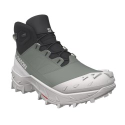 Взуття Salomon Crosstrak WP W - зелений/чорний