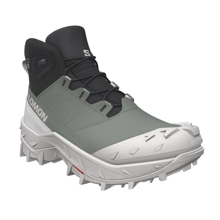 Взуття Salomon Crosstrak WP W - зелений/чорний