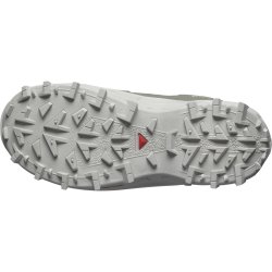 Взуття Salomon Crosstrak WP W - зелений/чорний
