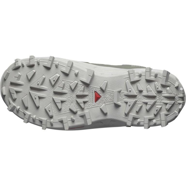 Взуття Salomon Crosstrak WP W - зелений/чорний