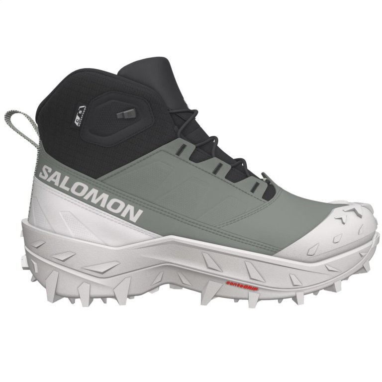 Взуття Salomon Crosstrak WP W - зелений/чорний