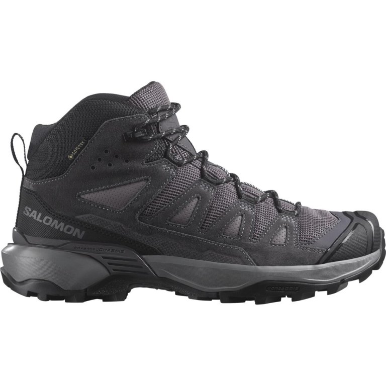 Взуття Salomon X Ultra 360 Ltr Mid GTX W - сірий