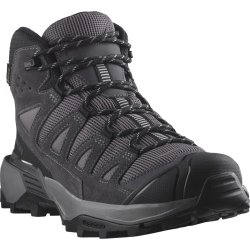 Взуття Salomon X Ultra 360 Ltr Mid GTX W - сірий