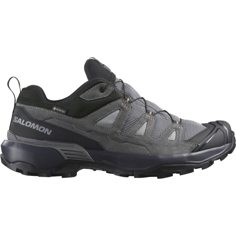 Взуття Salomon X Ultra 360 Ltr GTX M - сірий