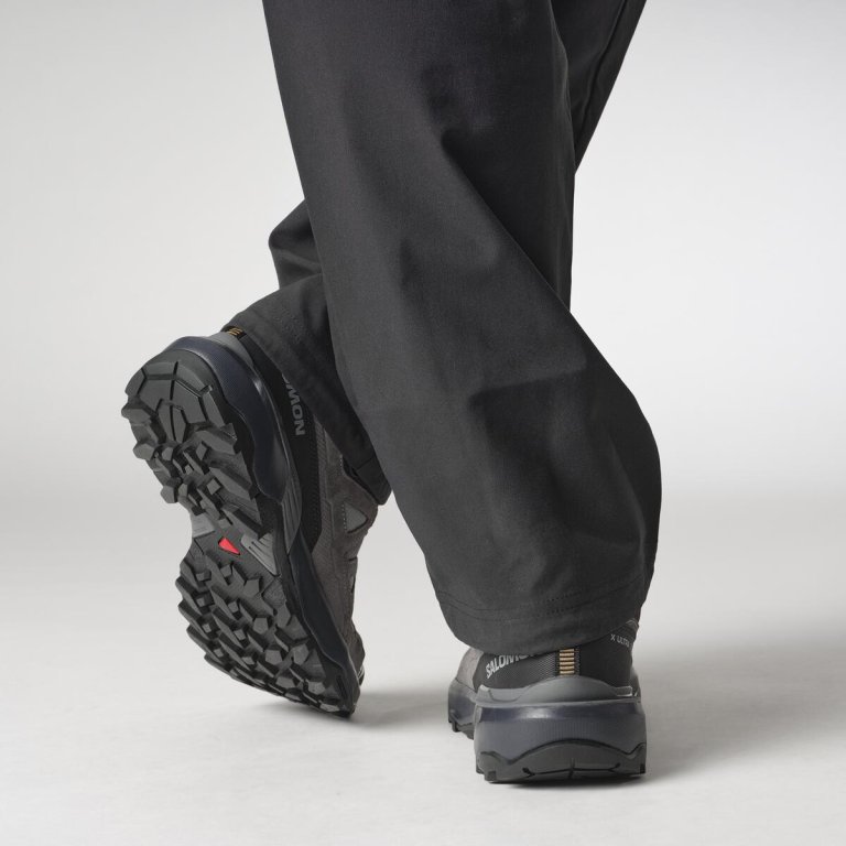 Взуття Salomon X Ultra 360 Ltr GTX M - сірий