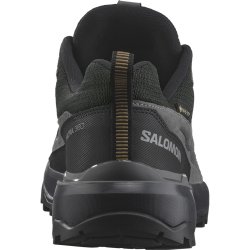 Взуття Salomon X Ultra 360 Ltr GTX M - сірий