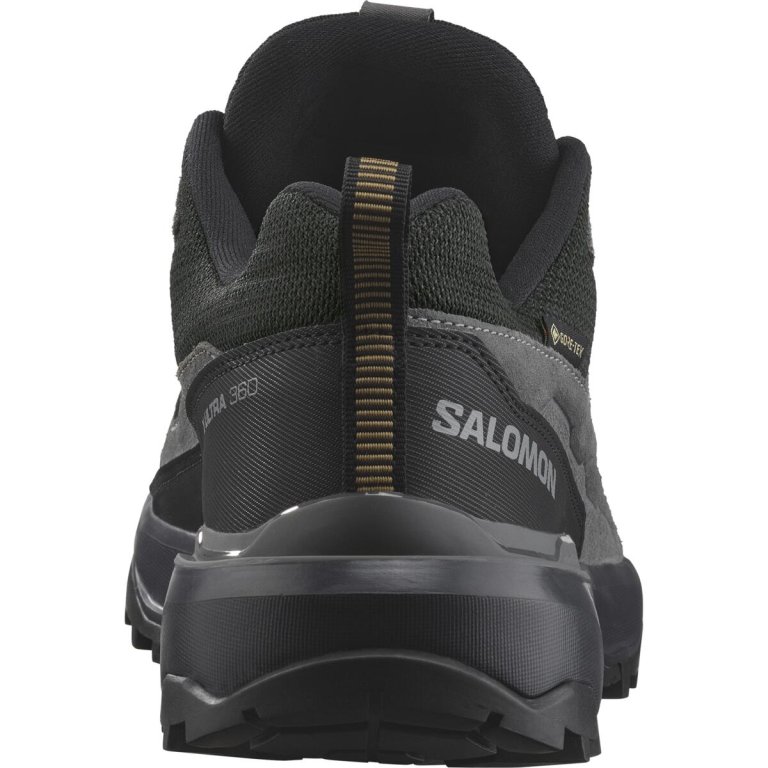 Взуття Salomon X Ultra 360 Ltr GTX M - сірий