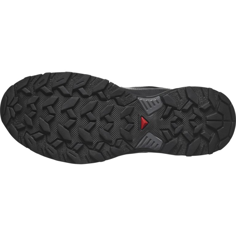 Взуття Salomon X Ultra 360 Ltr GTX M - сірий