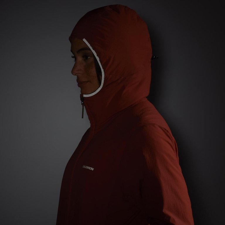 Куртка Salomon Mountain Flex Jckt Hood W - червоний