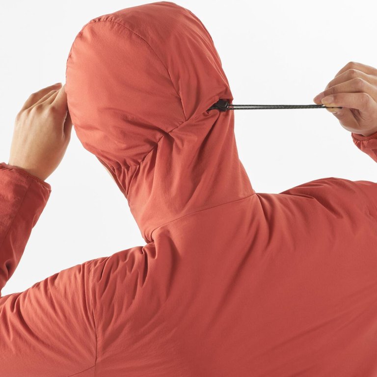 Куртка Salomon Mountain Flex Jckt Hood W - червоний