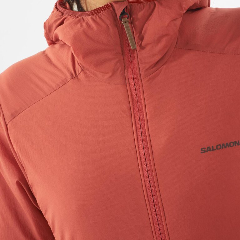 Куртка Salomon Mountain Flex Jckt Hood W - червоний