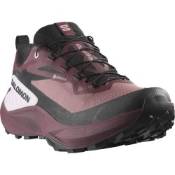Кросівки Salomon Genesis GTX W - фіолетовий