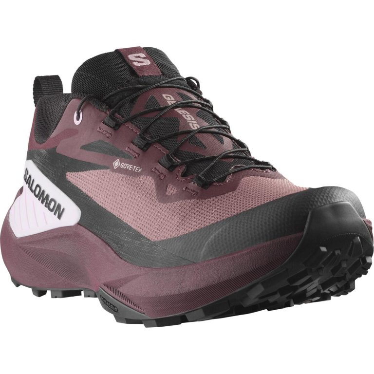 Кросівки Salomon Genesis GTX W - фіолетовий