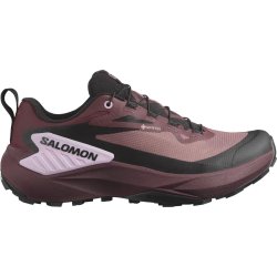 Кросівки Salomon Genesis GTX W - фіолетовий