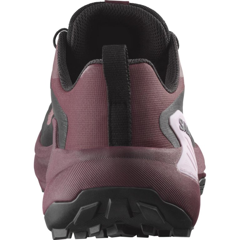 Кросівки Salomon Genesis GTX W - фіолетовий