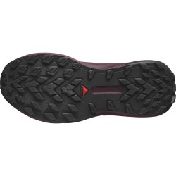 Кросівки Salomon Genesis GTX W - фіолетовий