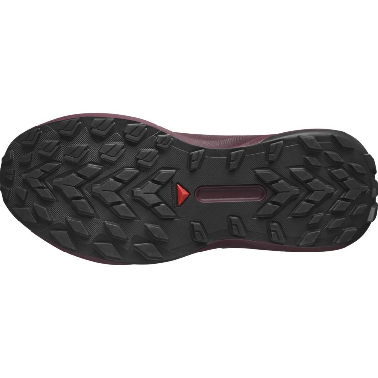 Кросівки Salomon Genesis GTX W - фіолетовий
