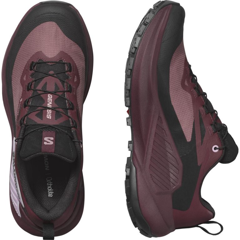 Кросівки Salomon Genesis GTX W - фіолетовий