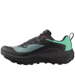 Кросівки Salomon Genesis GTX M - чорний