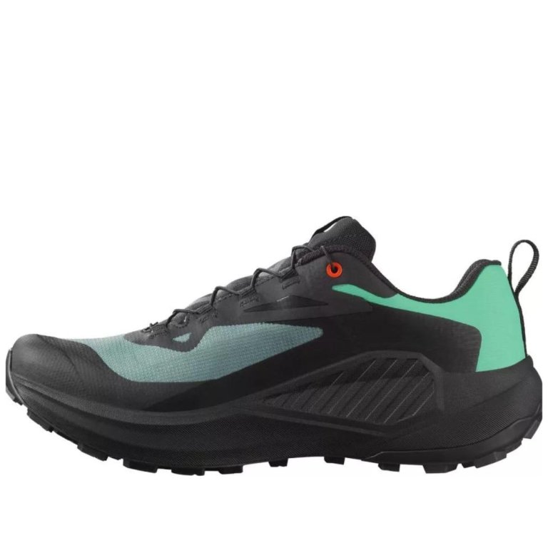 Кросівки Salomon Genesis GTX M - чорний