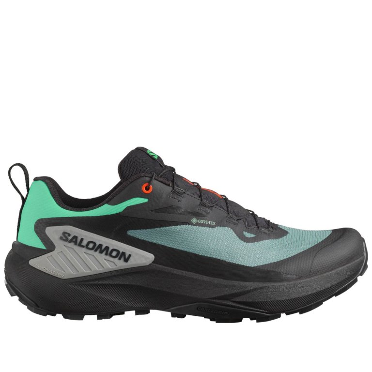 Кросівки Salomon Genesis GTX M - чорний