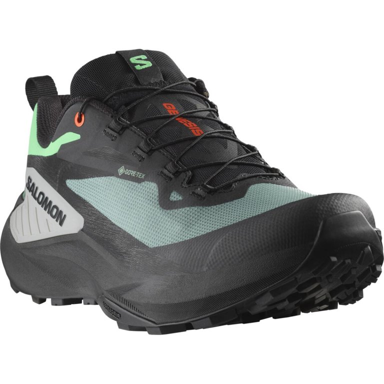 Кросівки Salomon Genesis GTX M - чорний