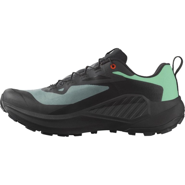 Кросівки Salomon Genesis GTX M - чорний