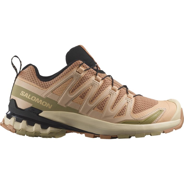 Кросівки Salomon XA Pro 3D V9 W - коричневий