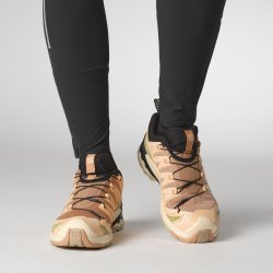 Кросівки Salomon XA Pro 3D V9 W - коричневий