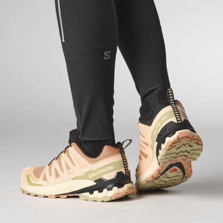 Кросівки Salomon XA Pro 3D V9 W - коричневий