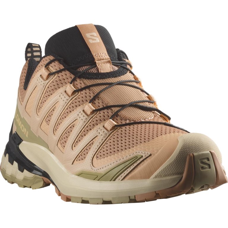 Кросівки Salomon XA Pro 3D V9 W - коричневий