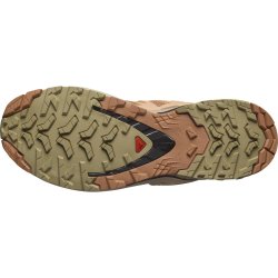 Кросівки Salomon XA Pro 3D V9 W - коричневий