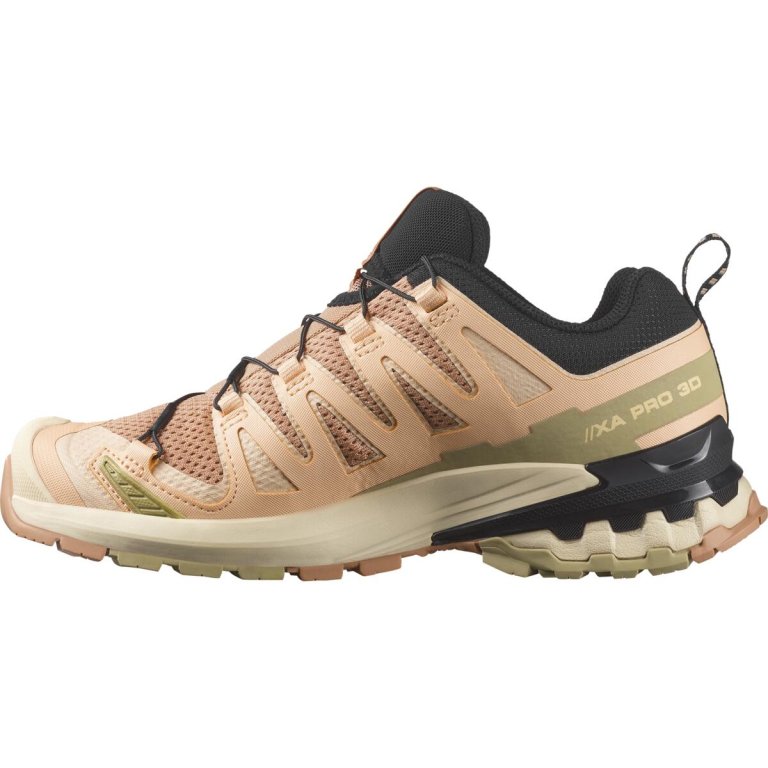 Кросівки Salomon XA Pro 3D V9 W - коричневий