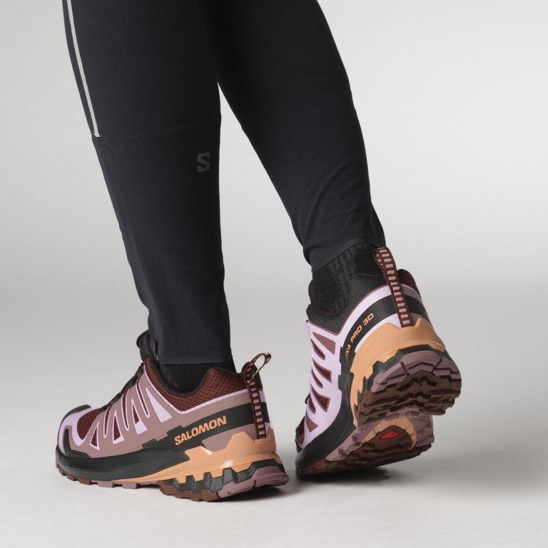 Кросівки Salomon XA Pro 3D V9 W - фіолетовий
